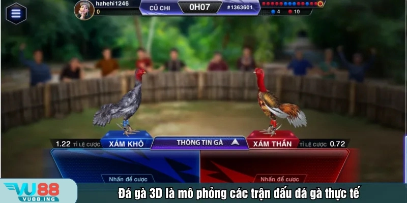 Đá gà 3D là mô phỏng các trận đấu đá gà thực tế