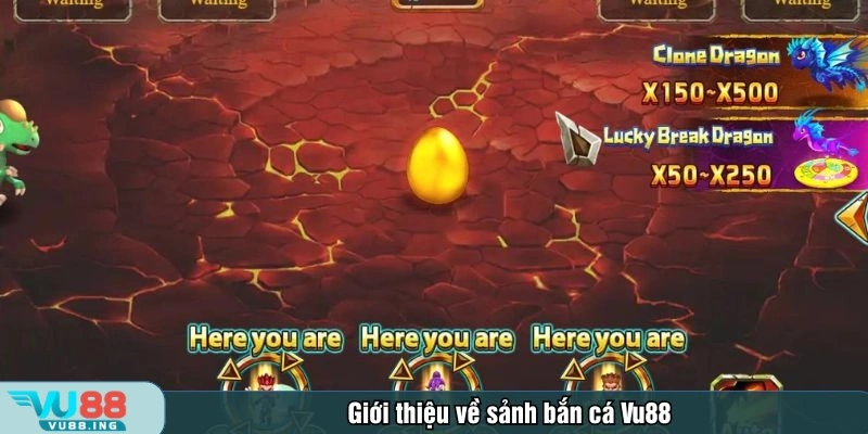 Sảnh bắn cá Vu88 thu hút đông đảo người chơi