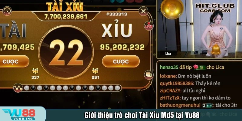 Tài Xỉu MD5 là trò chơi may rủi kịch tính