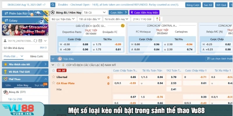 Vu88 cung cấp đa dạng hình thức cá cược