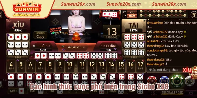 Sicbo X88 mang đến hàng chục lựa chọn cược phù hợp